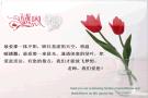 教师节_简约