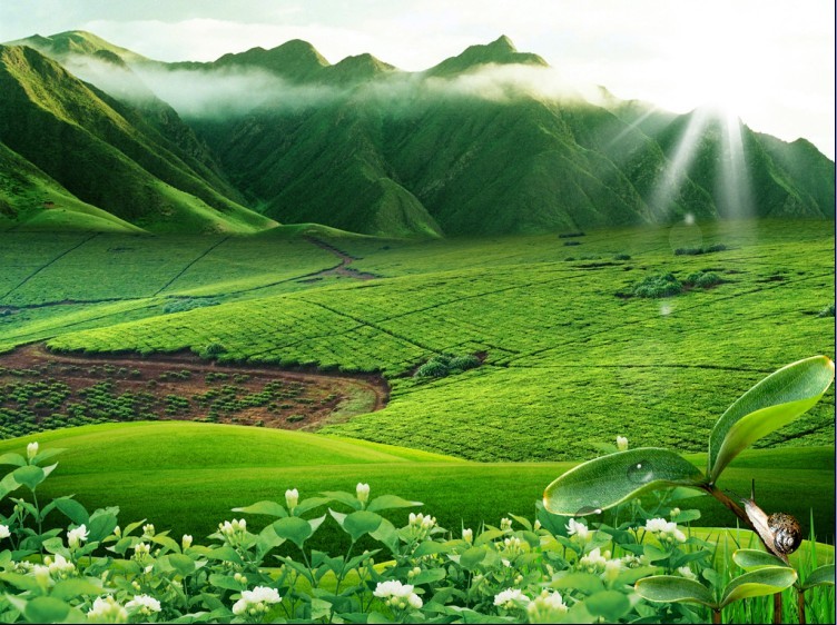 风景