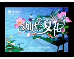 灿烂的夏花